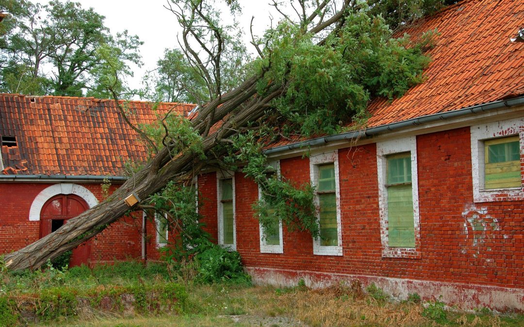 Restoring Hope: Storm Damage Restoration in Omaha, NE