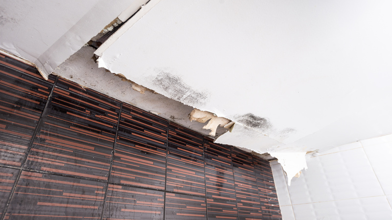 Water Damage Repair in Omaha, NE: A Guide to Quick and Effective Restoration