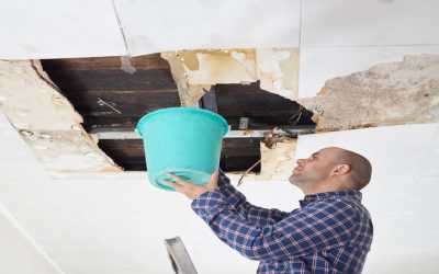 Protect Your Property Faster with Water Damage Restoration Services Maple Grove Experts