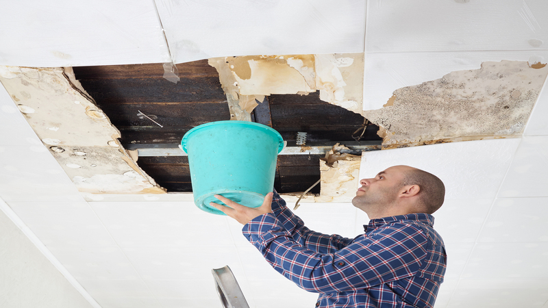 Navigating Water Damage Cleanup in Omaha, NE: Essential Insights and Solutions