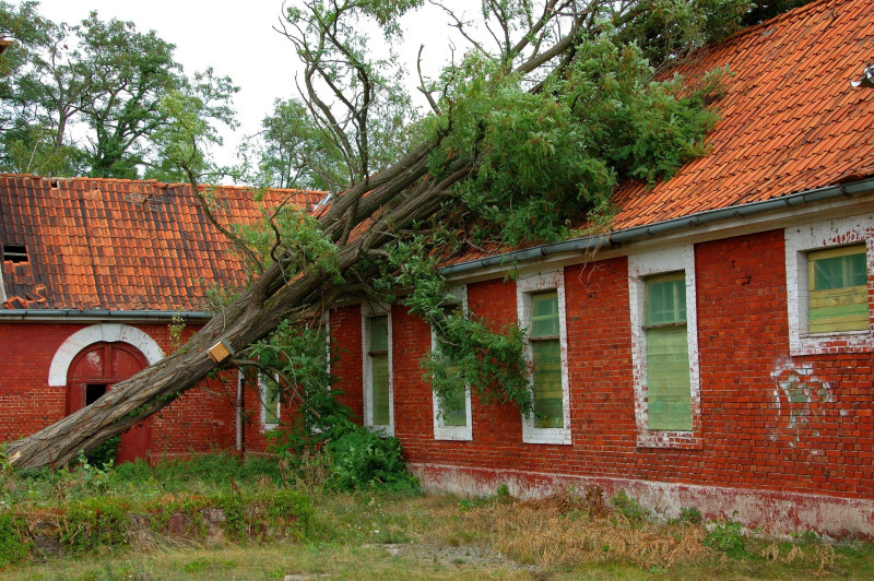 The Effects of Storm Damage in Saunders County, Nebraska