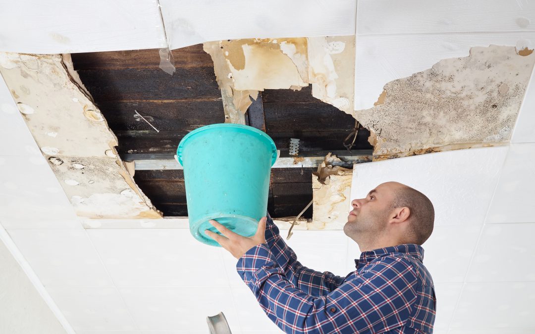 Safeguard Your Property Through Effective Mold Remediation in Omaha, NE