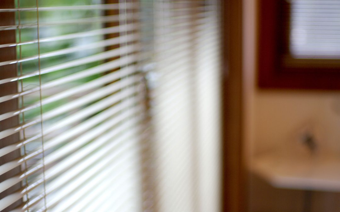 Blinds in Tampa, FL: A New Era of Window Treatments