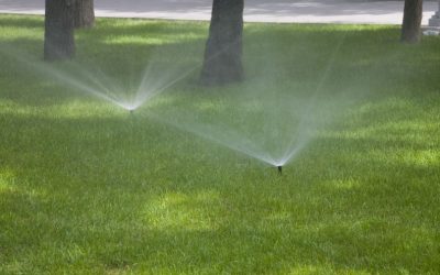 Efficient Watering: Why a Lawn Irrigation System in Round Rock is Essential