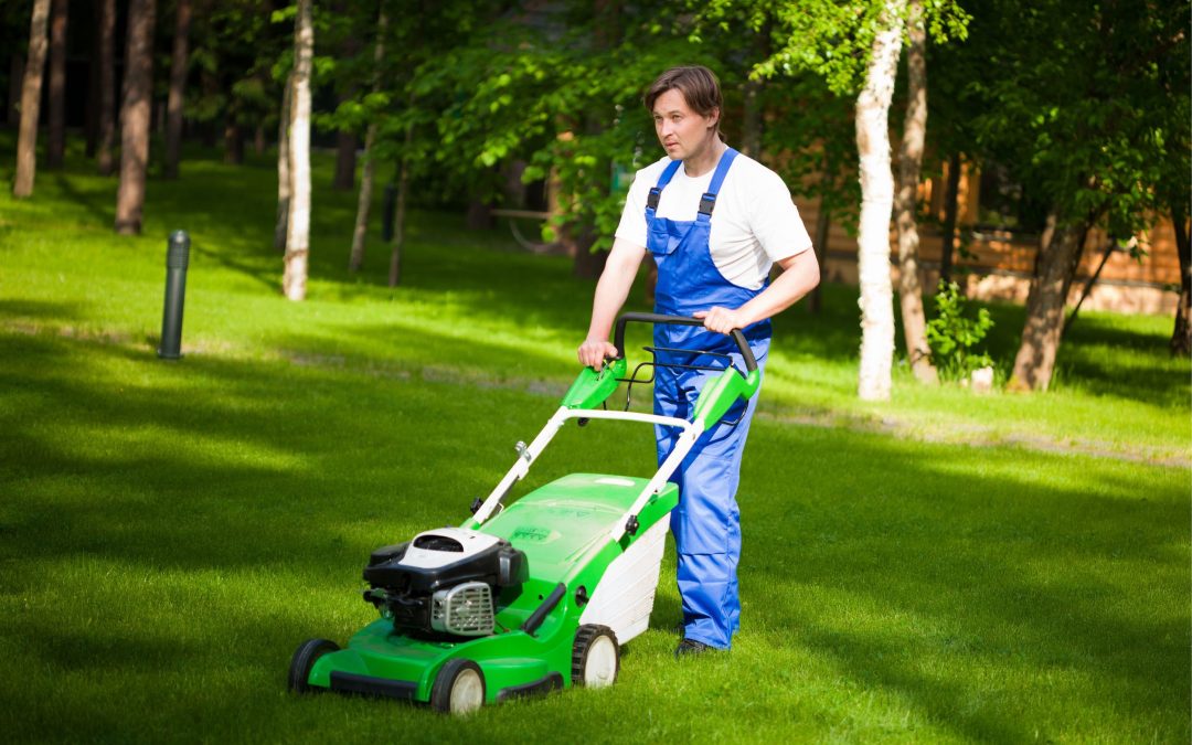 Secrets to Sustainable Lawn Care in Toronto Practices That Promote Long-Term Growth and Beauty