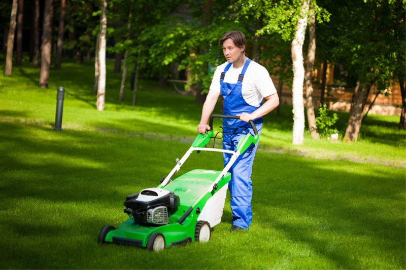 7217493_l-lawn-mower-man-on-the-backyard--e1731576617635