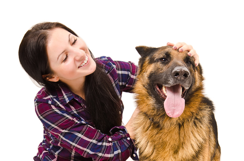 Dog Grooming in Wisconsin Rapids, WI: A Vital Part of Your Pet’s Well-Being