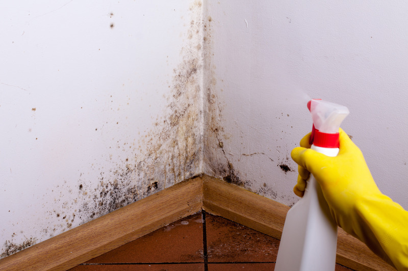 Targeting Mold Issues with Precision and Expertise: How Does Thorough Solutions for Mold Damage Restoration Service in Council Bluffs, IA, Help Property Owners