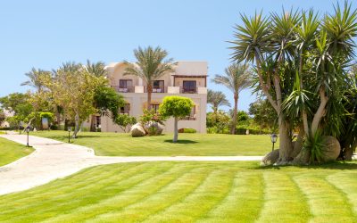 Redefining Outdoor Aesthetics and Functionality with Expert Hardscaping in Maple Grove
