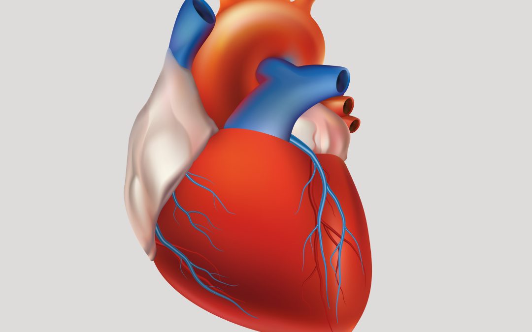 Recognizing the Warning Signs of Aortic Aneurysm in Virginia Beach, VA, for Early Intervention