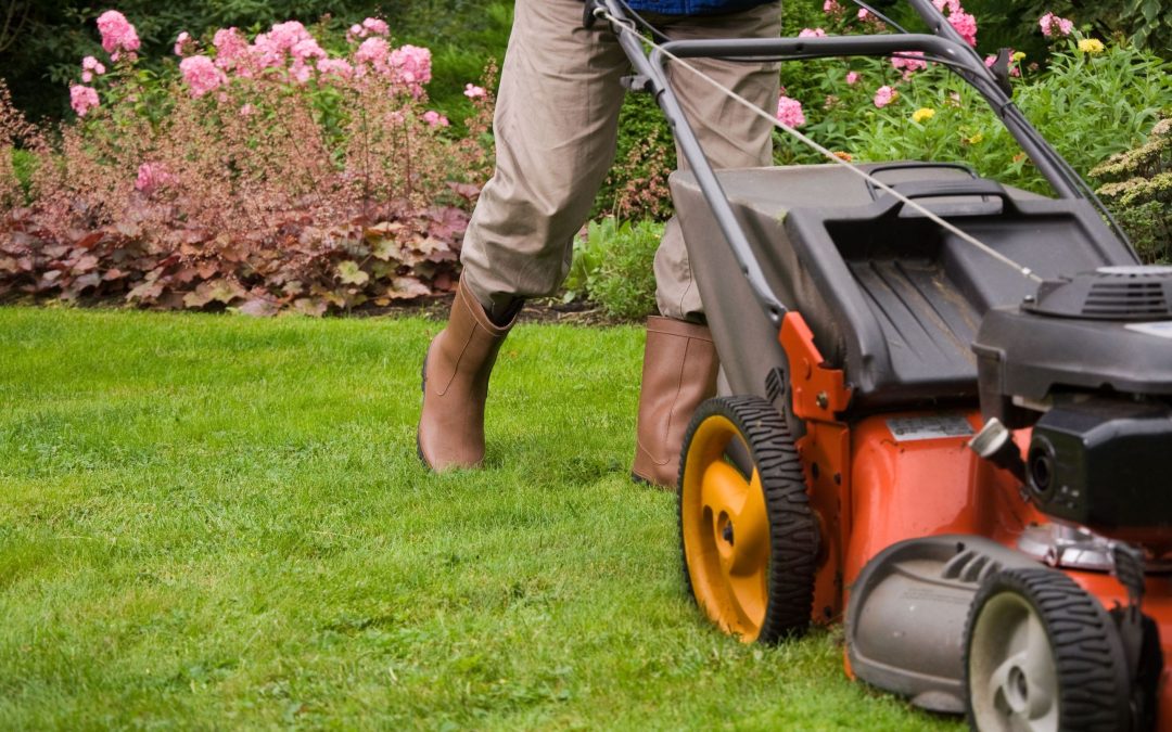 Commercial Lawn Maintenance Services Reliable Solutions for a Healthy Green Workspace