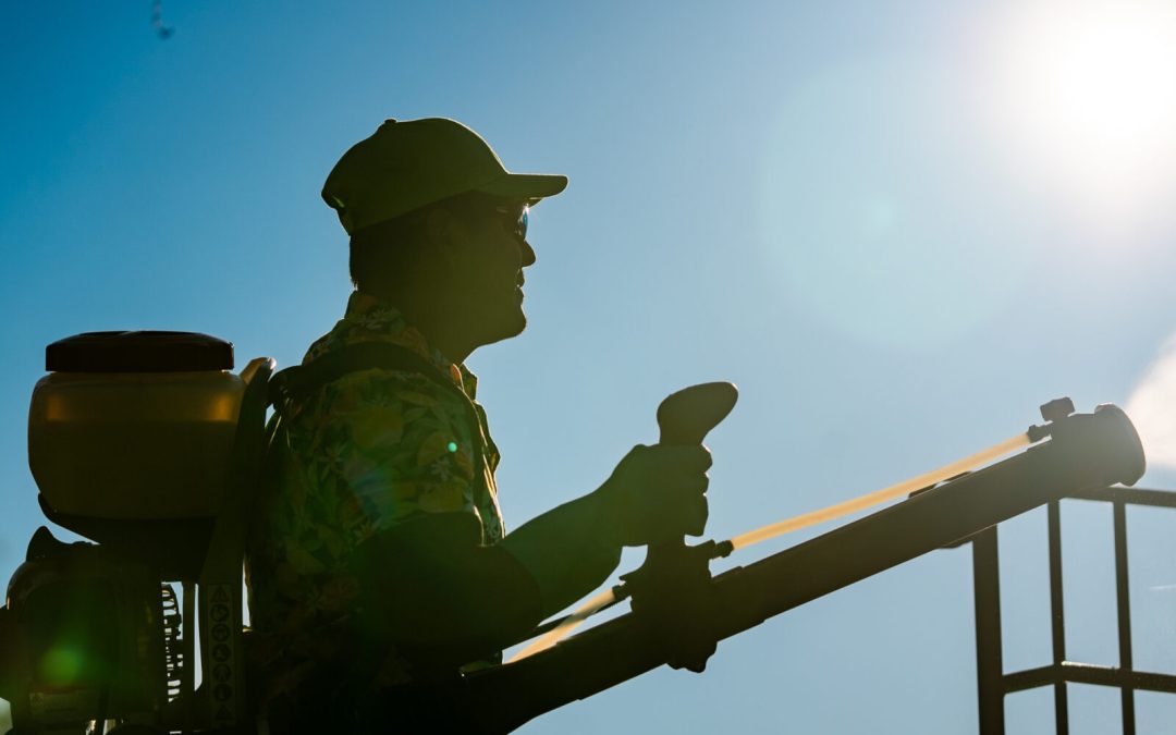 Protect Your Pets Safely with Flea and Tick Haymarket, VA Solutions That Really Work