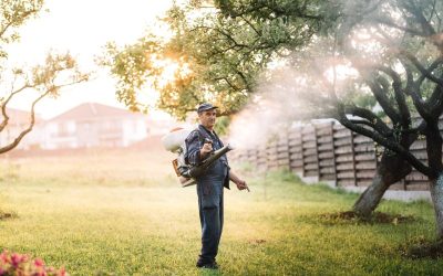 Protect Your Home from Bites with Expert Mosquito Control in Plymouth County MA Solutions