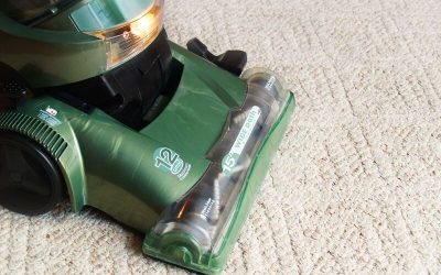 Revive Your Home With a Professional Carpet Cleaner Tampa FL Residents Trust for Results