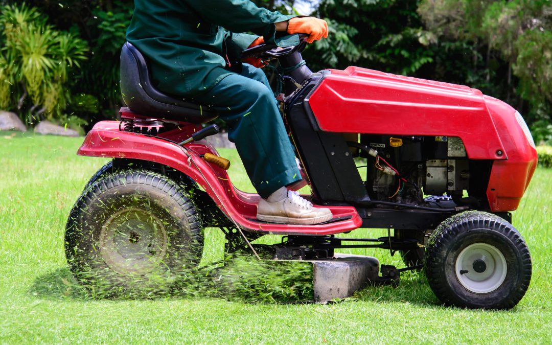 Unlock the Secret to Vibrant Lawns With Expert Lawn Care Services