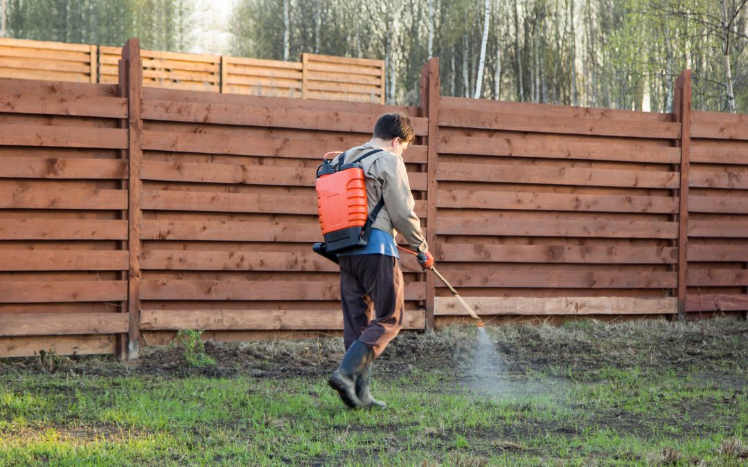 Safeguard Your Home from Infestations with Pest Control Service Fort Wayne, IN Experts