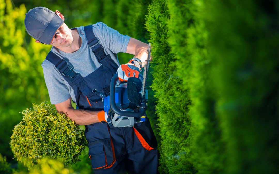 The Value Of Outsourcing To Commercial Lawn Maintenance Services Experts