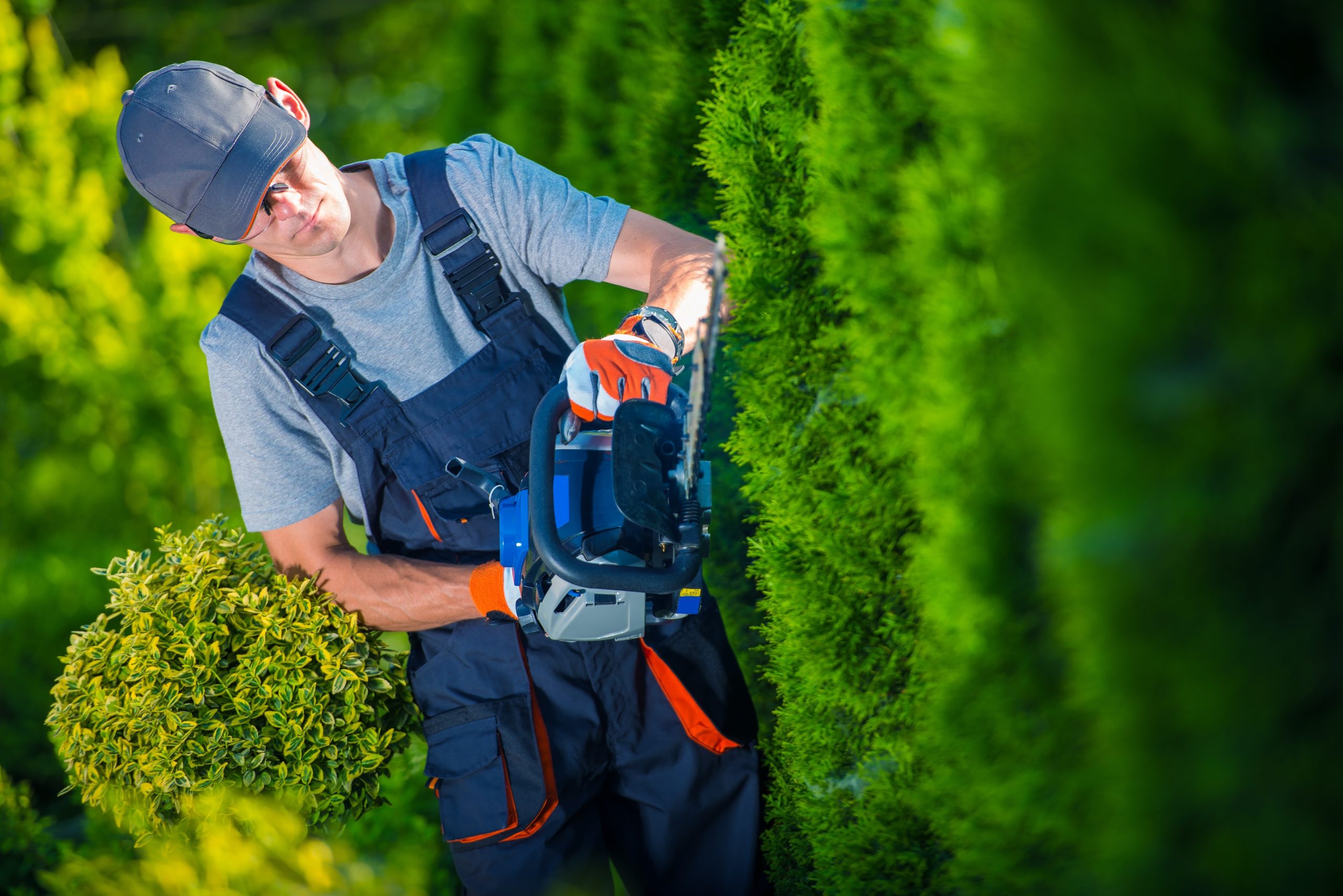Hedge Trimmer Works