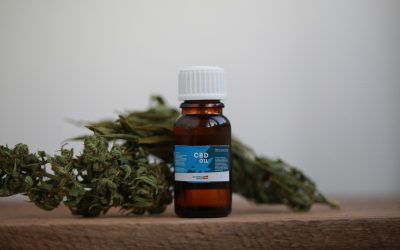 Why Online Cannabis Delivery NYC Is Revolutionizing Convenience for Local Residents