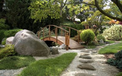 Commercial Hardscaping Services Solutions for Lasting Beauty and Low Maintenance